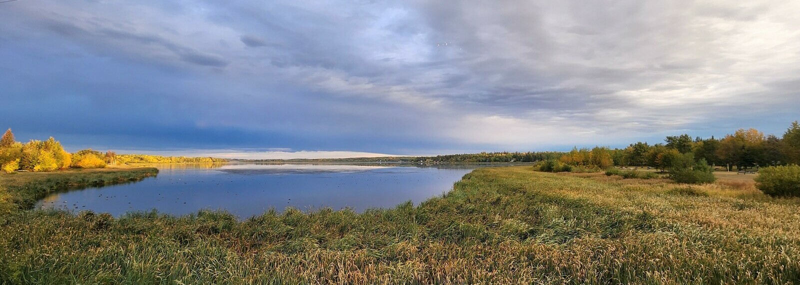 Lake Stewardship