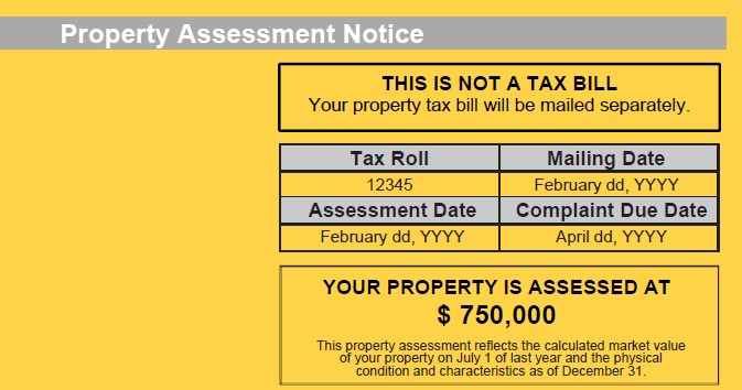 Assessment Information